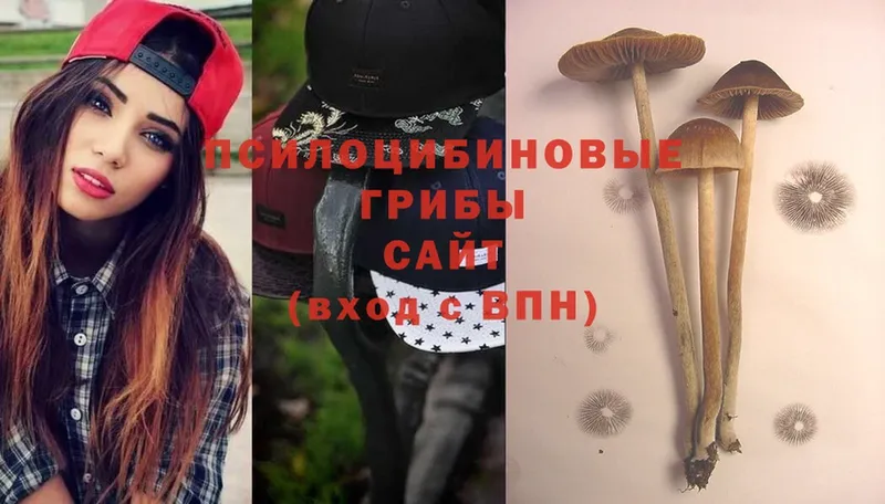 Псилоцибиновые грибы Psilocybe  кракен   Ишим  как найти закладки 